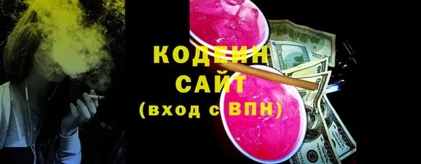 apvp Карпинск
