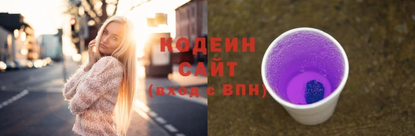 apvp Карпинск