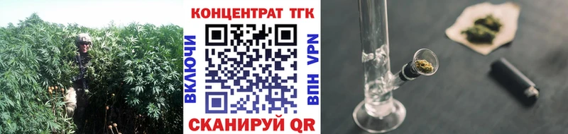 Купить где  Верхняя Салда  ТГК Wax 